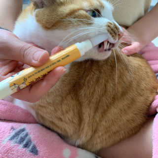 류린하님이 올린 리뷰 사진 3
