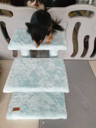 태훈맘님이 올린 리뷰 사진 2