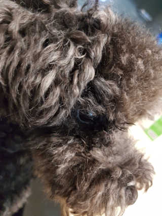 고옴이님이 올린 리뷰 사진 4