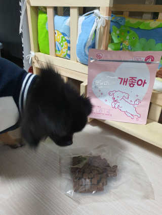 My Pet Care 천연단백질 관절건강에 개좋아 — 5점을 준 리뷰어가 2020년 11월 올린 사용 사진