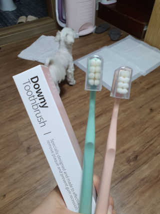 뽀오오옹님이 올린 리뷰 사진 2