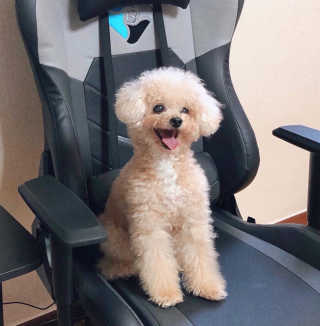 NINI님이 올린 리뷰 사진 1