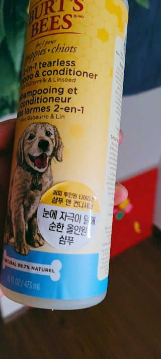 버츠비 퍼피투인원 티어리스 샴푸 앤 컨디셔너 — 5점을 준 리뷰어가 2020년 10월 올린 사용 사진