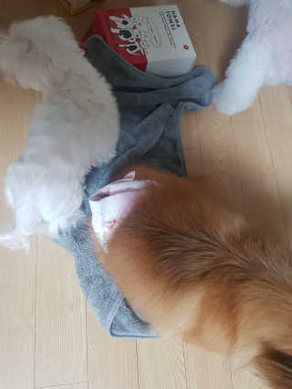미미네님이 올린 리뷰 사진 2