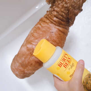 죠니님이 올린 리뷰 사진 3