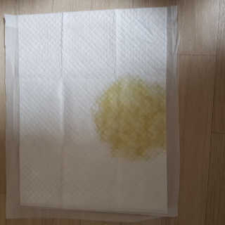 멍자언니님이 올린 리뷰 사진 3