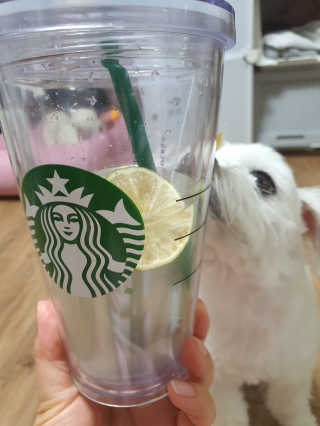 뽀오오옹님이 올린 리뷰 사진 1