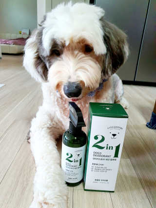 강아지스토리 2in1 강아지 애견 탈취제 400ml — 4점을 준 리뷰어가 2020년 6월 올린 사용 사진