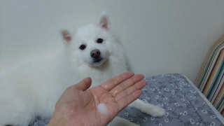 pie_chui님이 올린 리뷰 사진 2