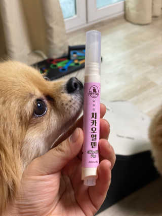 더펫원츠 [댕냥이 치석제거 덴탈오일] 치카오일+셀프스케일러 — 5점을 준 리뷰어가 2020년 5월 올린 사용 사진