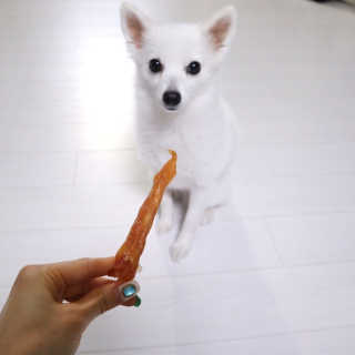 윰시대님이 올린 리뷰 사진 1