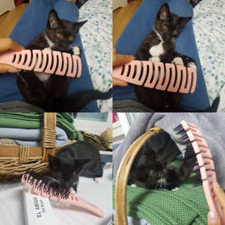 또히츄님이 올린 리뷰 사진 3