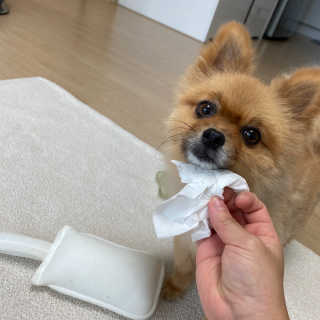 잘풀리는집 부드러운 모이스처 보습 미용 티슈 230매 — 5점을 준 리뷰어가 2020년 9월 올린 사용 사진