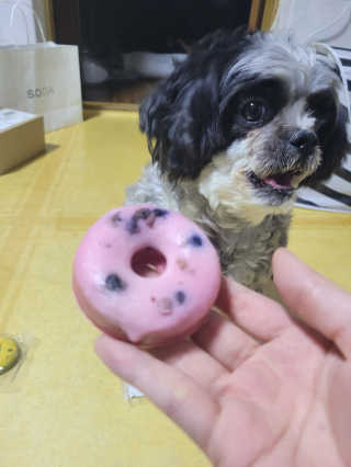 가횽님이 올린 리뷰 사진 3