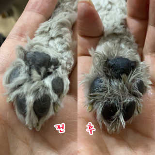 해바라기햇님님이 올린 리뷰 사진 2