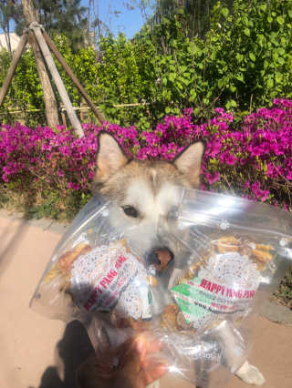 하시모님이 올린 리뷰 사진 4