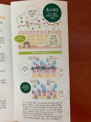신세계님이 올린 리뷰 사진 3