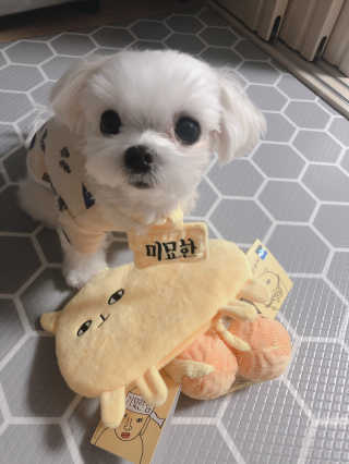 뚜덩맘님이 올린 리뷰 사진 2
