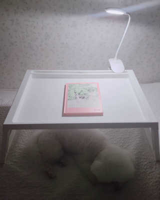 삼숑이맘님이 올린 리뷰 사진 1
