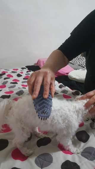 옐로우님이 올린 리뷰 사진 1