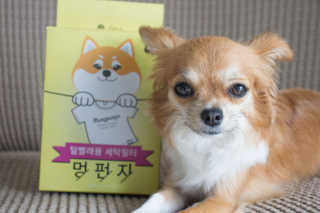 감자야산책가자님이 올린 리뷰 사진 1
