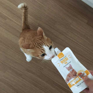 또블리님이 올린 리뷰 사진 2