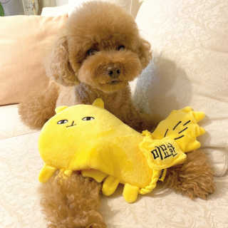 뚜루님이 올린 리뷰 사진 1