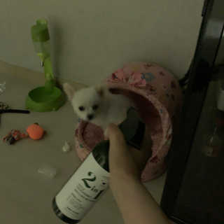 쇼니님이 올린 리뷰 사진 3