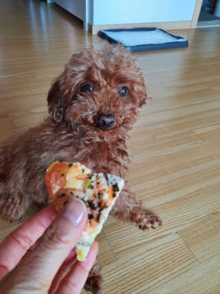 ReaLee님이 올린 리뷰 사진 2