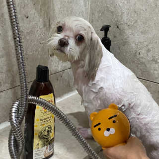 쫑구리님이 올린 리뷰 사진 3