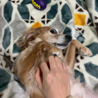 초오기님이 올린 리뷰 사진 4