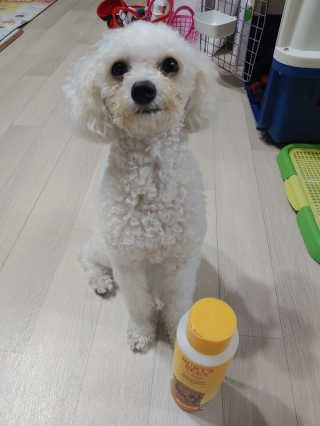 햇님달님님이 올린 리뷰 사진 1
