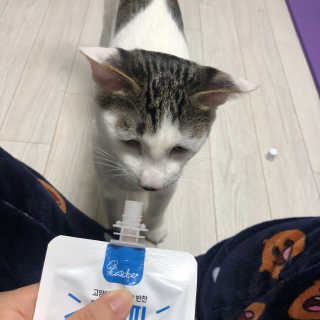 하니님이 올린 리뷰 사진 2
