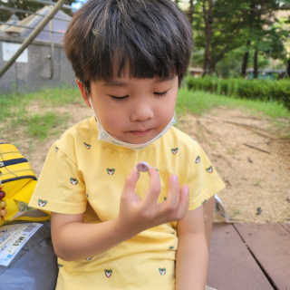 시시수맘님이 올린 리뷰 사진 2