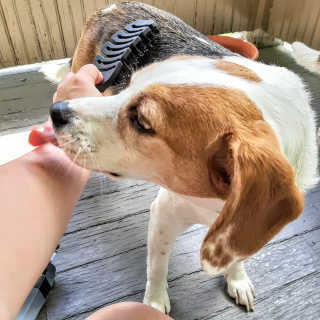 ShannonPippin님이 올린 리뷰 사진 1
