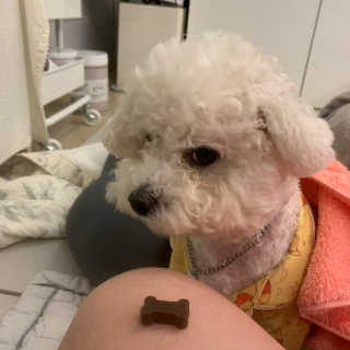 쪄니호잇님이 올린 리뷰 사진 3