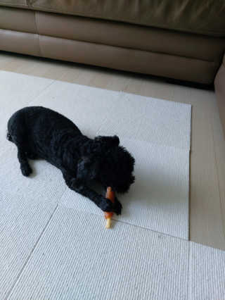 몽이님이 올린 리뷰 사진 1