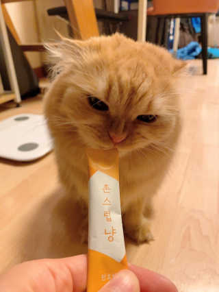 아라님이 올린 리뷰 사진 3