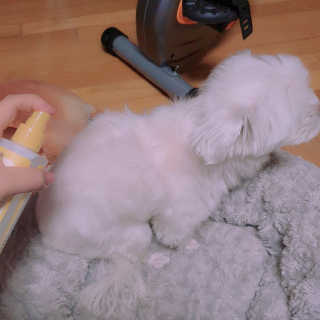이수진님이 올린 리뷰 사진 4