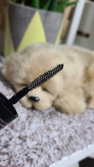 sunny님이 올린 리뷰 사진 3