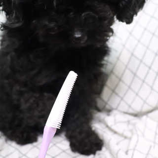 우와한언니님이 올린 리뷰 사진 4