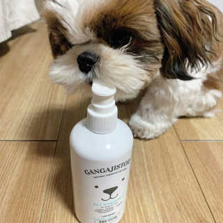 박코끼리님이 올린 리뷰 사진 1