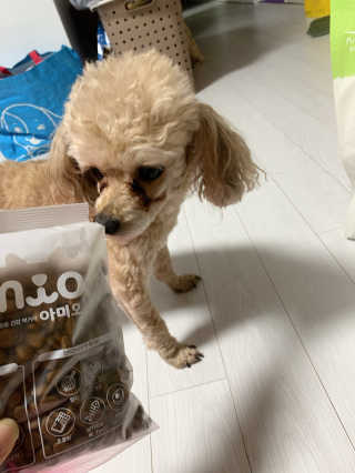 랑이님이 올린 리뷰 사진 2