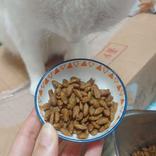 크크씨님이 올린 리뷰 사진 2