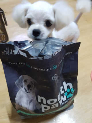 미진냥님이 올린 리뷰 사진 2