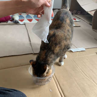 퐝님이 올린 리뷰 사진 3