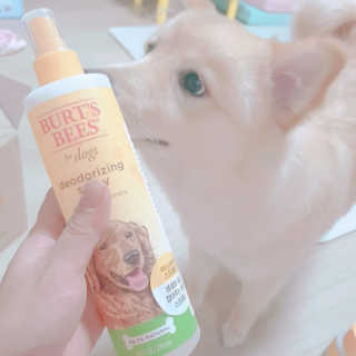 🎀딸 ♥️랑 🔆구🍭님이 올린 리뷰 사진 1