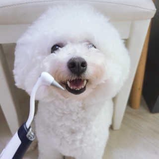 이민아님이 올린 리뷰 사진 1