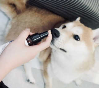 진시님이 올린 리뷰 사진 2