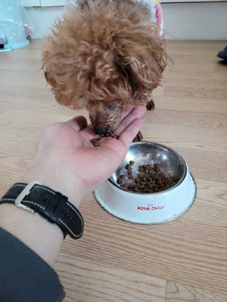 [풀무원 아미오] 자연담은식단 1kg 3종 — 5점을 준 리뷰어가 2020년 12월 올린 사용 사진